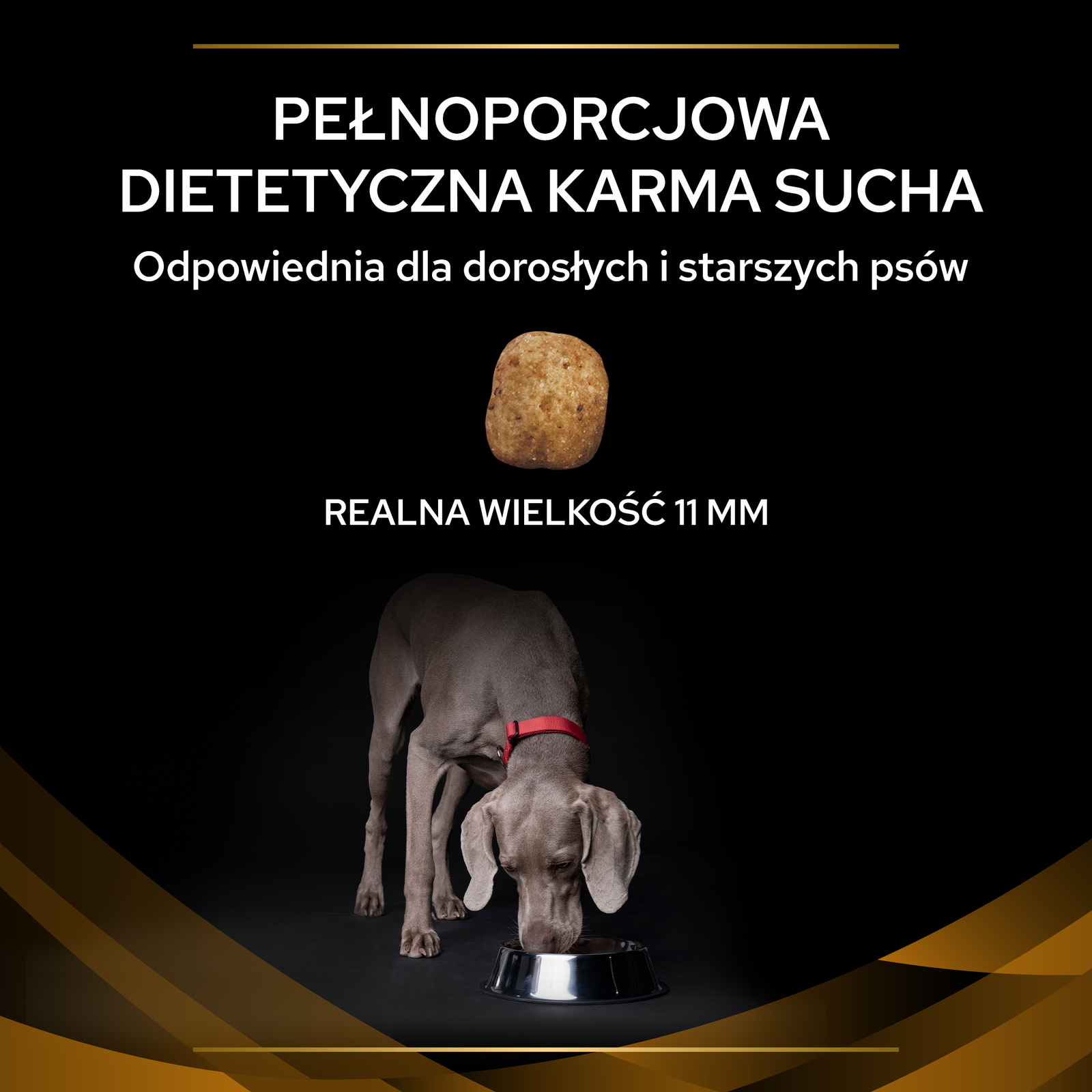 PURINA Pro Plan Veterinary Diets NF Renal Function 12kg - zdjęcie 5