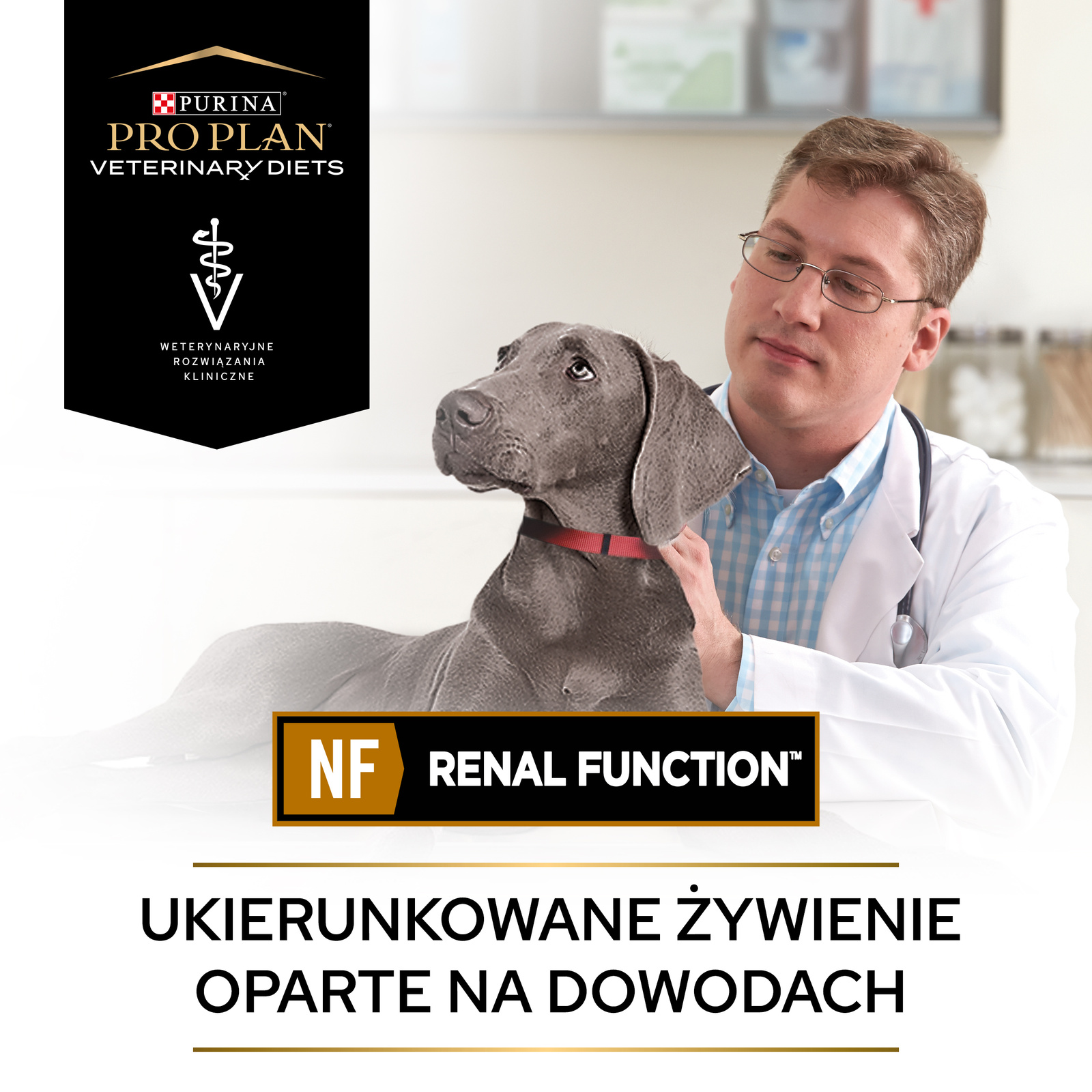 PURINA Pro Plan Veterinary Diets NF Renal Function 12kg - zdjęcie 7
