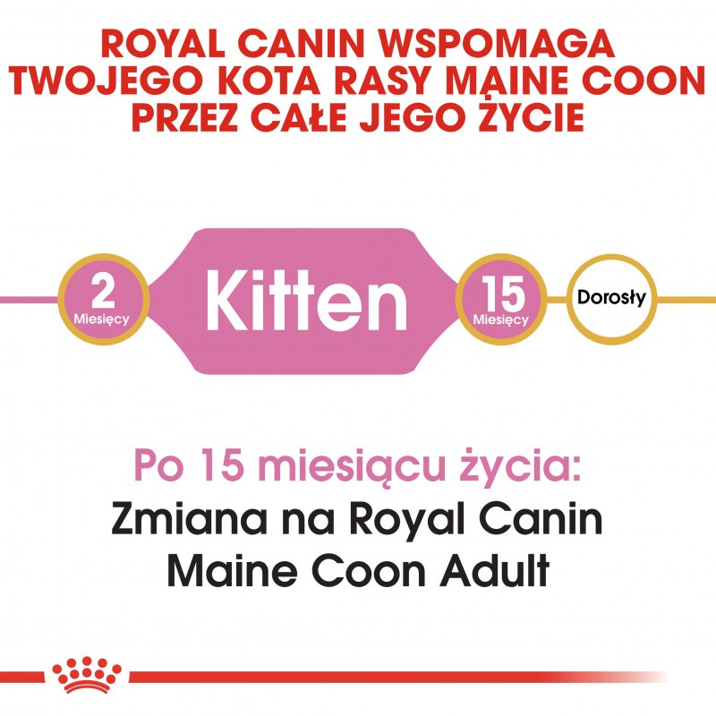 ROYAL CANIN Maine Coon Kitten 400g - zdjęcie 3