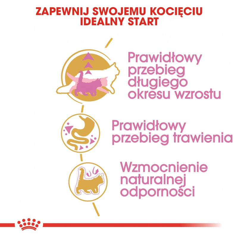 ROYAL CANIN Maine Coon Kitten 400g - zdjęcie 4