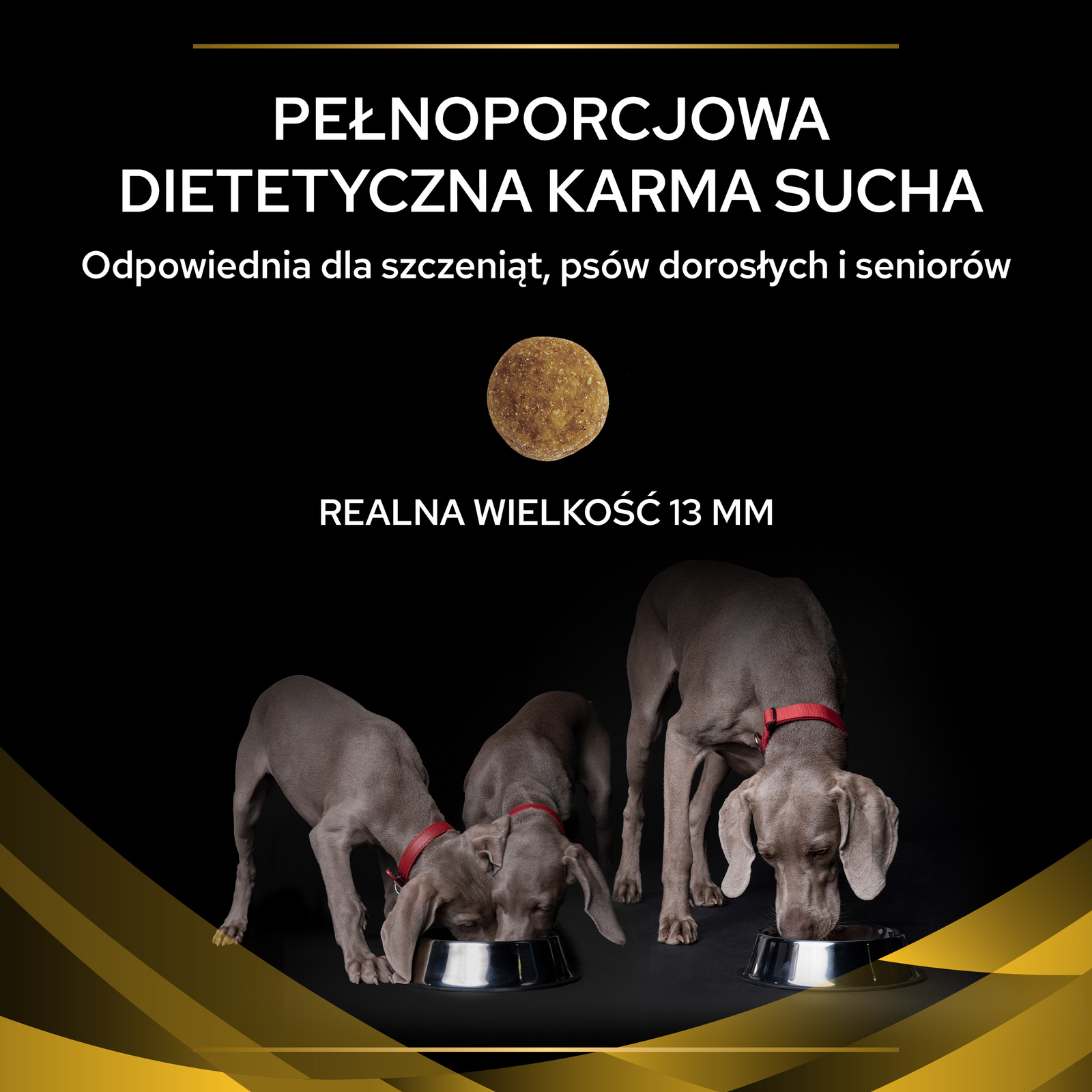PURINA Pro Plan Veterinary JM Joint Mobility 12kg - zdjęcie 5