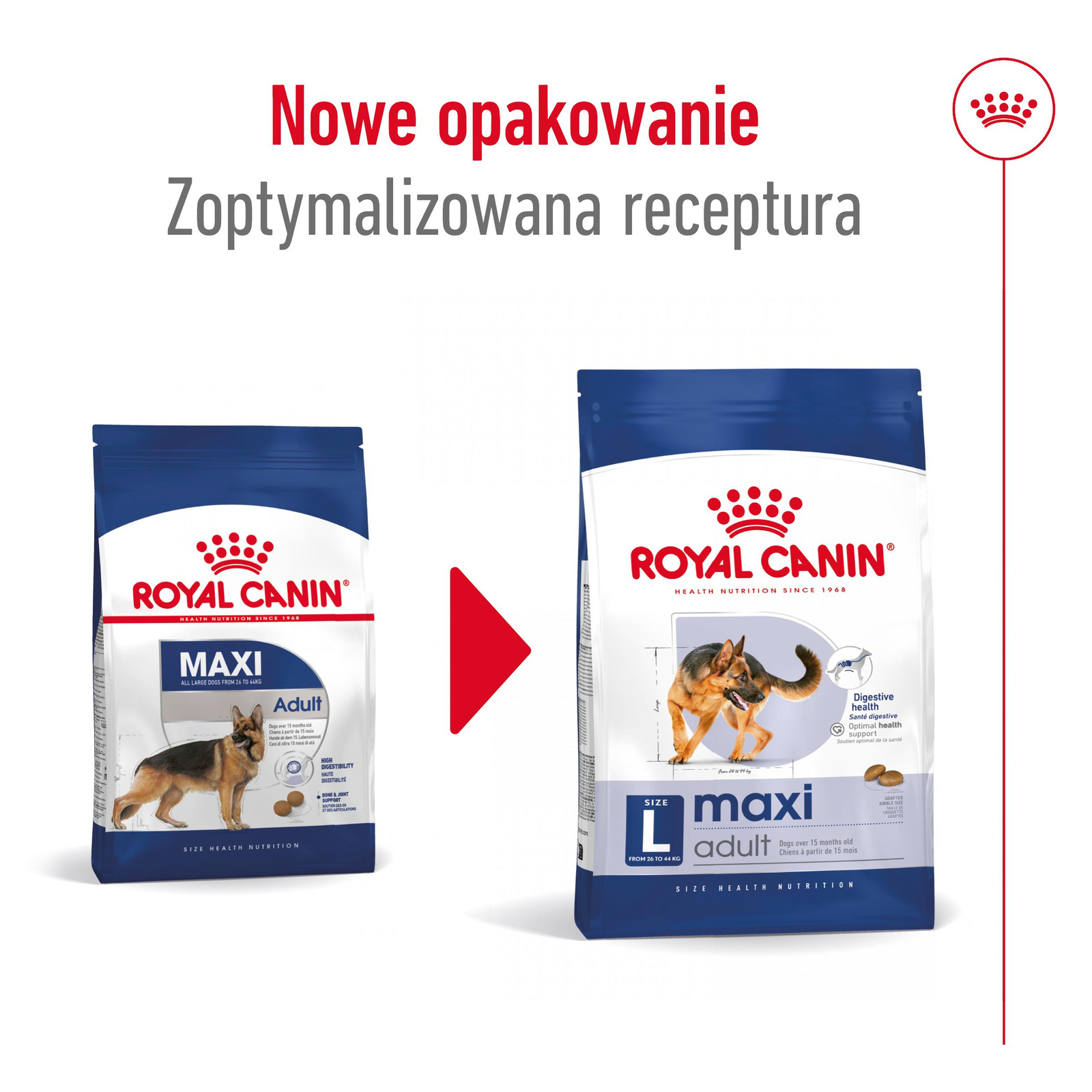 ROYAL CANIN Maxi Adult 4kg - zdjęcie 2