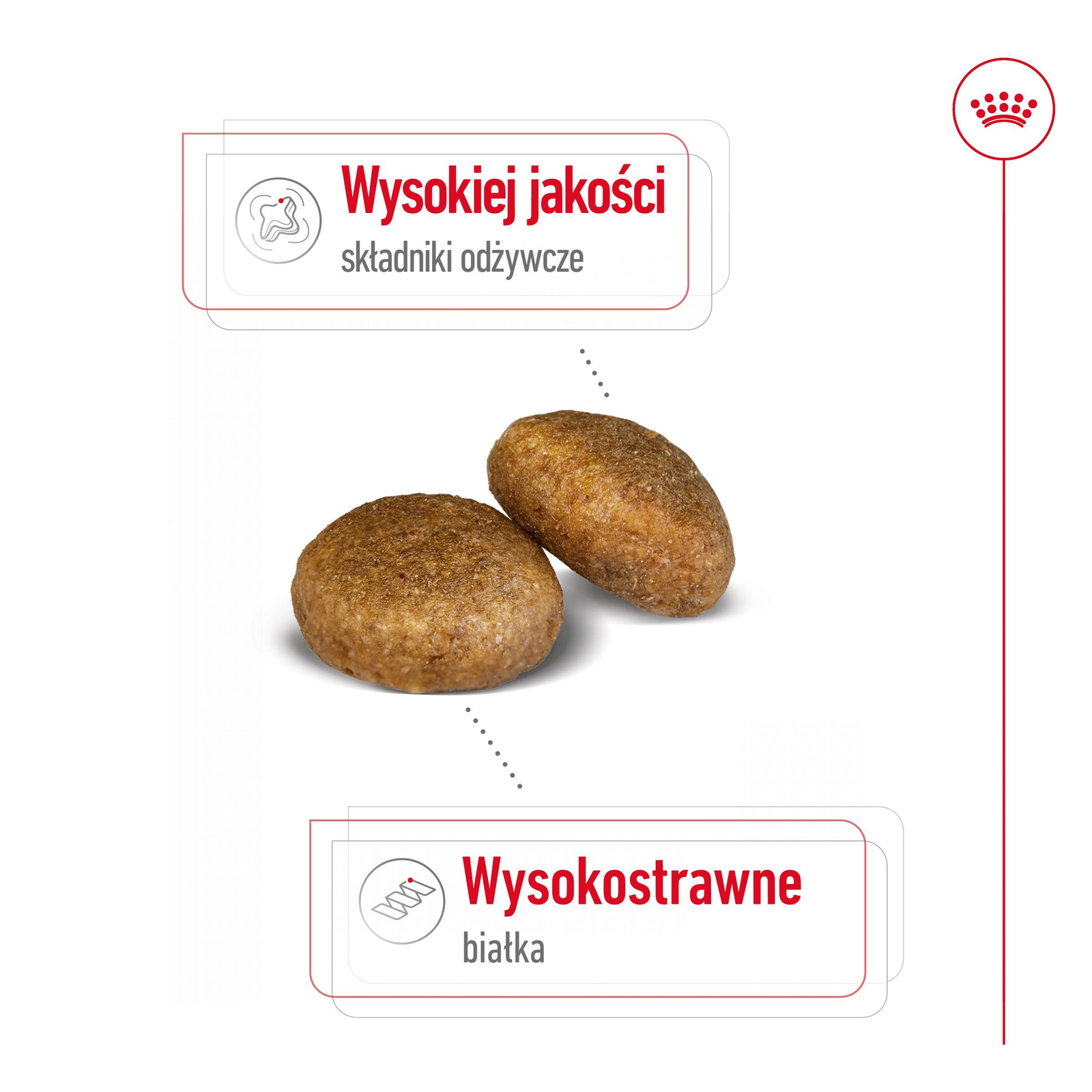 ROYAL CANIN Maxi Adult 4kg - zdjęcie 6