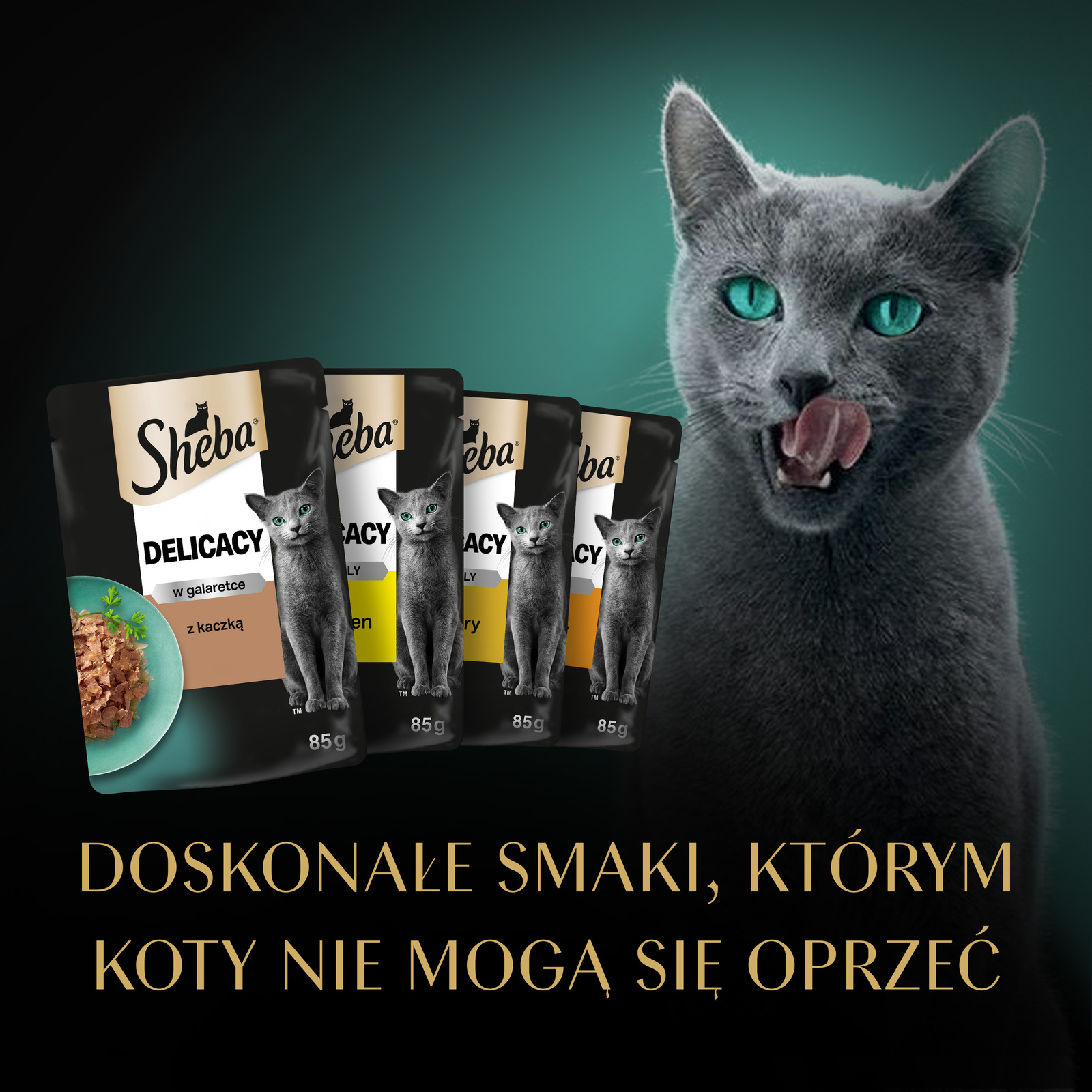 Sheba Saszetka Delicacy In Jelly Smaki Drobiowe 12x85g - zdjęcie 8