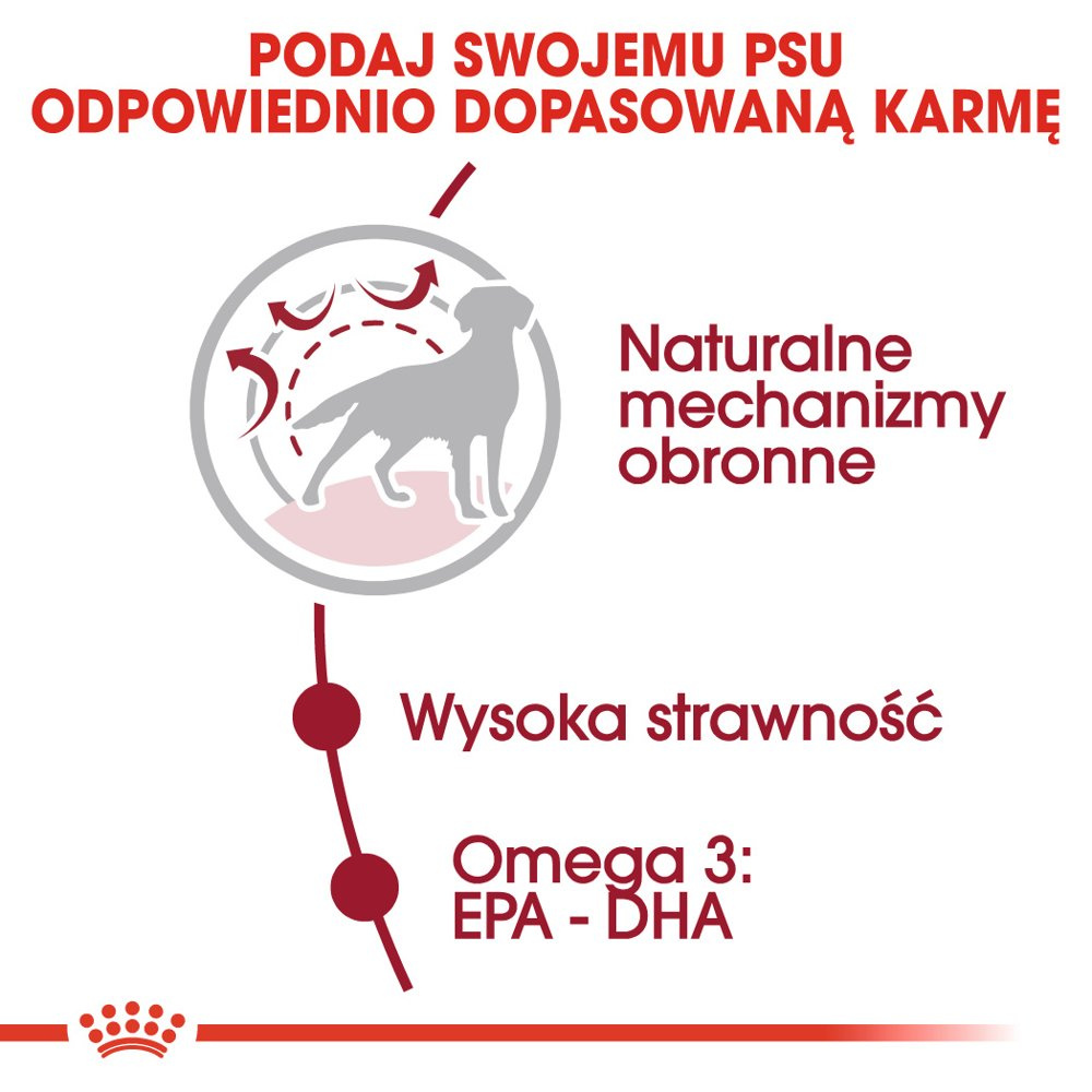 ROYAL CANIN Medium Adult 4kg - zdjęcie 4