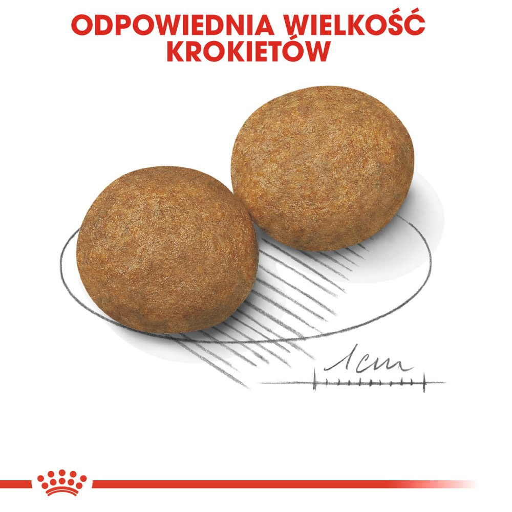 ROYAL CANIN Medium Adult 4kg - zdjęcie 5