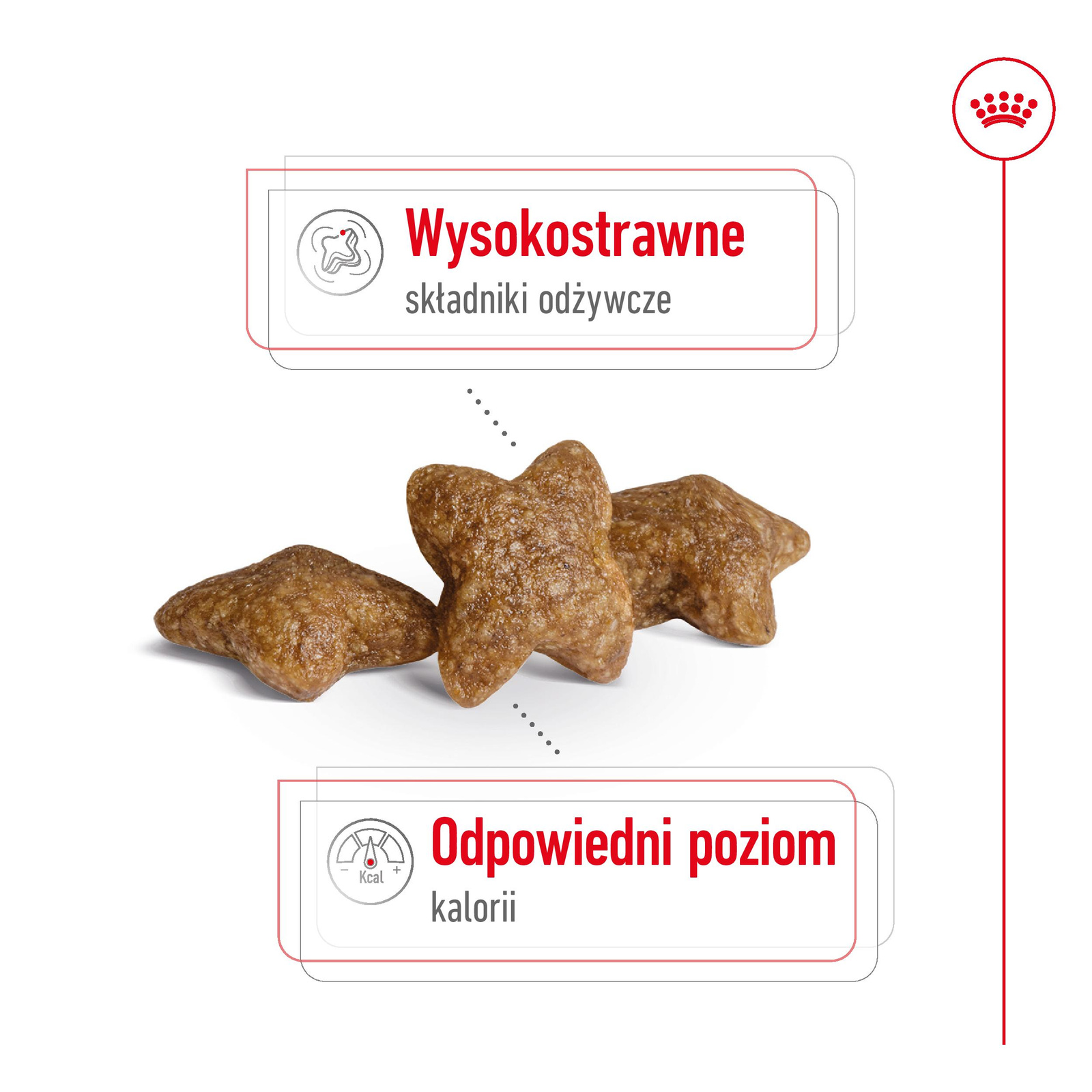 ROYAL CANIN Mini Adult 800g - zdjęcie 6