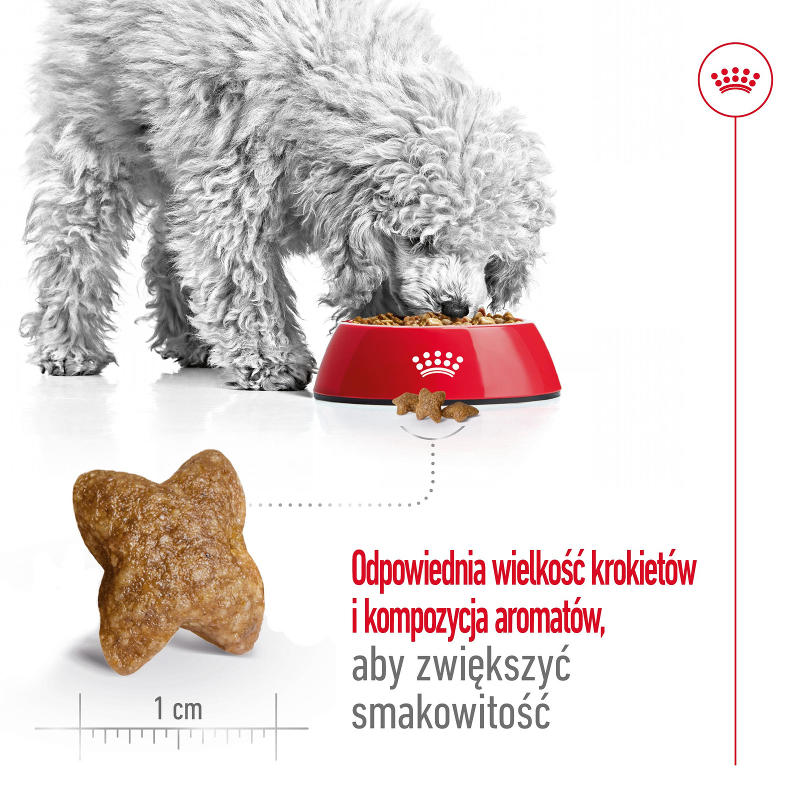 ROYAL CANIN Mini Adult 800g - zdjęcie 7