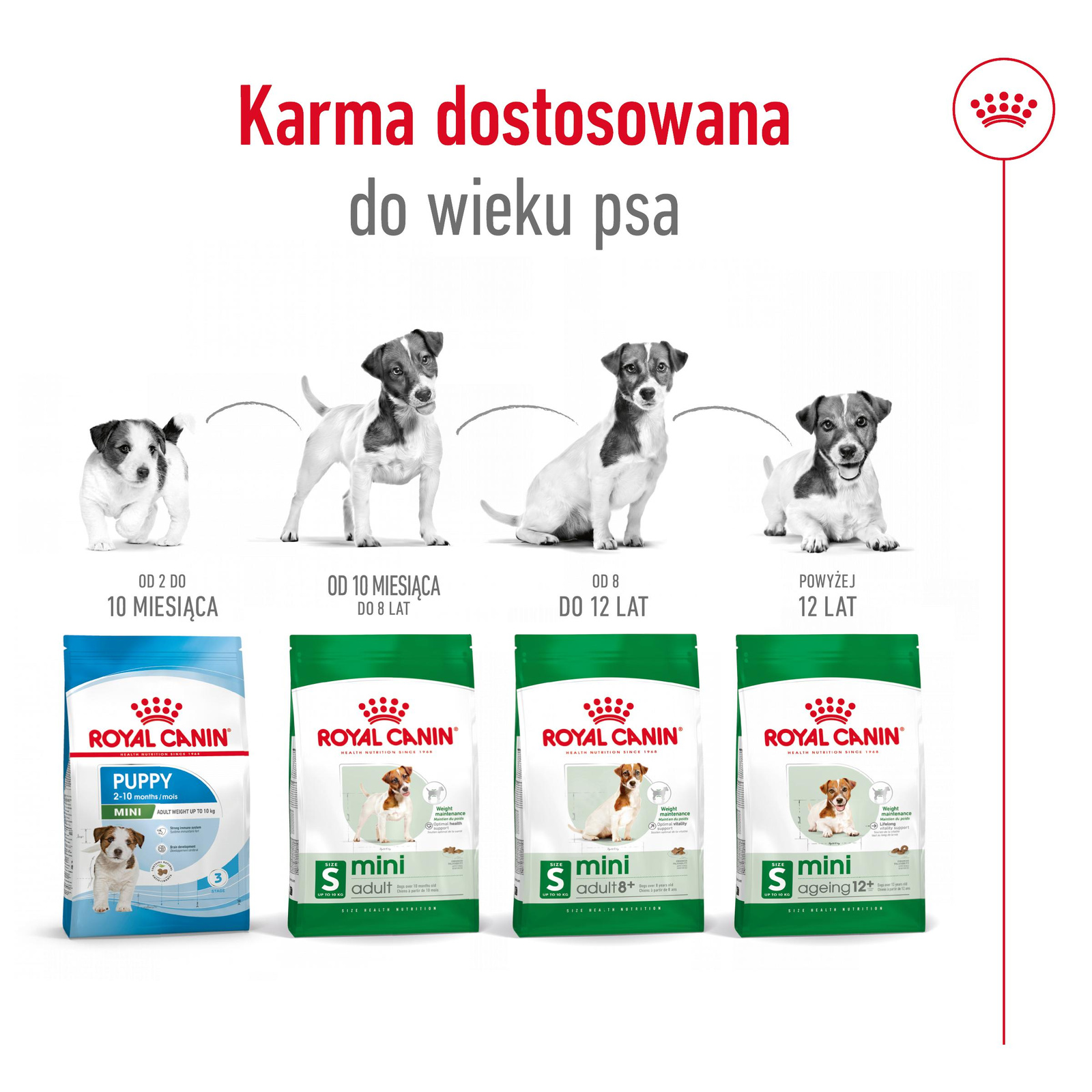 ROYAL CANIN Mini Adult 800g - zdjęcie 8