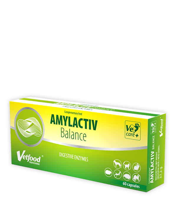 VETFOOD Amylactiv Balance 60tab - zdjęcie 2