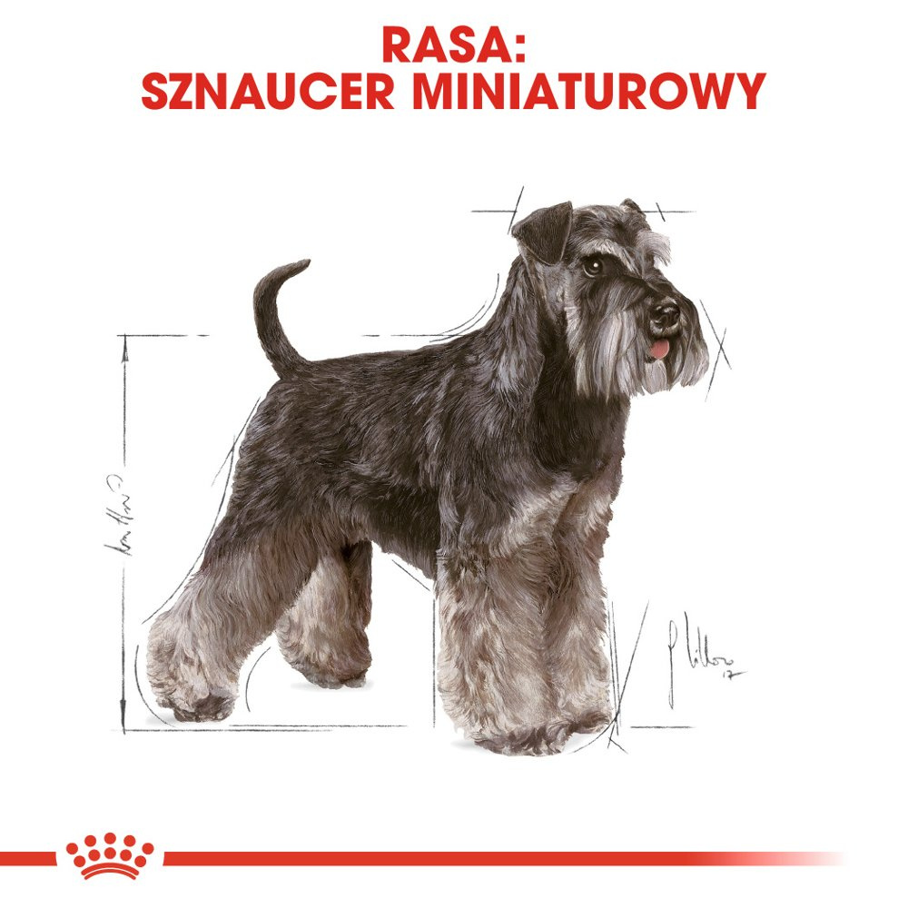 ROYAL CANIN Miniature Schnauzer Adult 3kg - zdjęcie 3