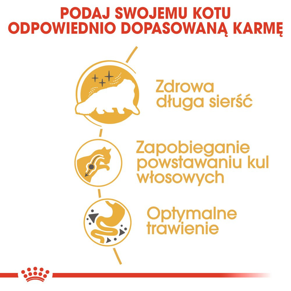 ROYAL CANIN Persian Adult 400g - zdjęcie 4
