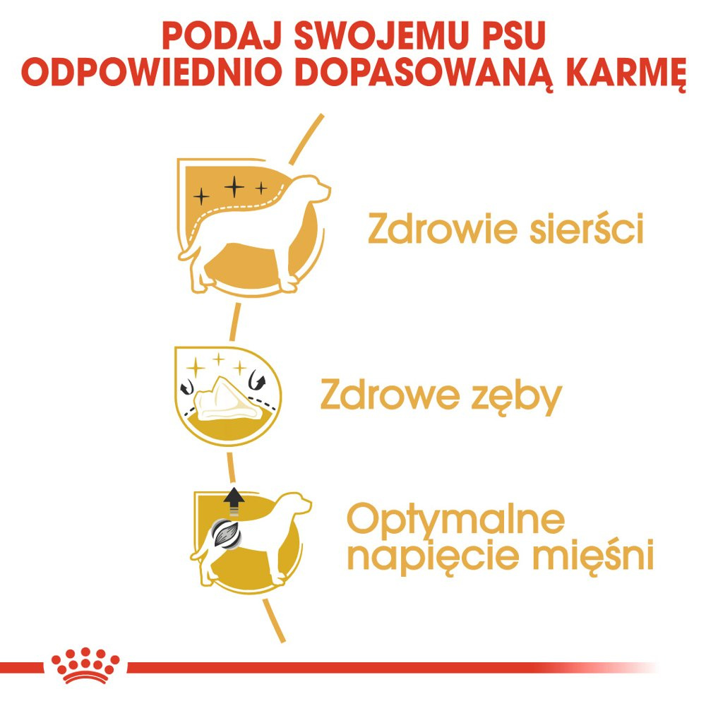 ROYAL CANIN Poodle Adult 1,5kg - zdjęcie 6