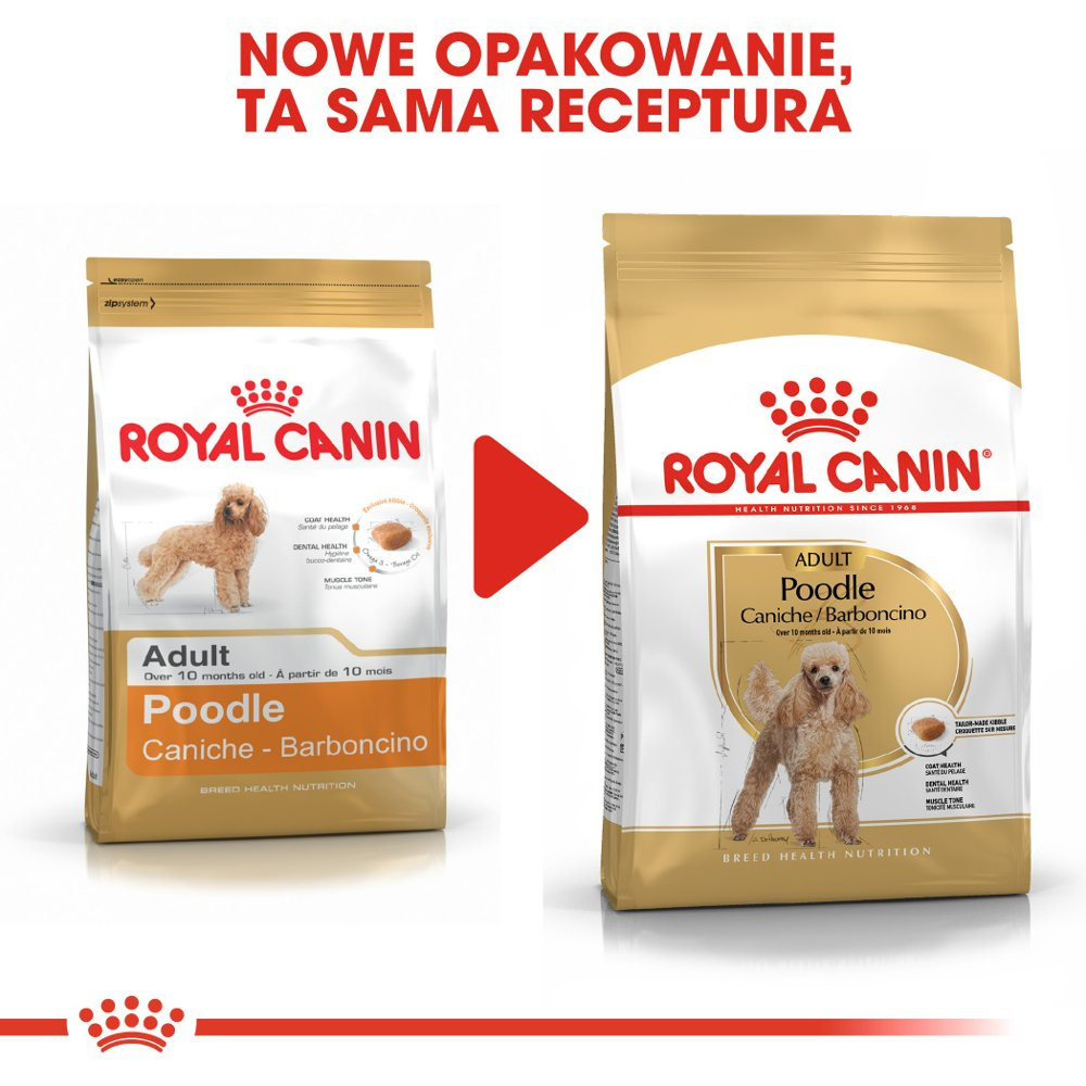 ROYAL CANIN Poodle Adult 1,5kg - zdjęcie 9