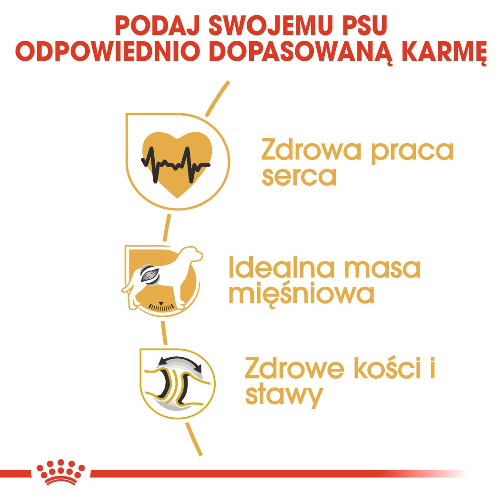 ROYAL CANIN Rottweiler Adult 12kg - zdjęcie 4