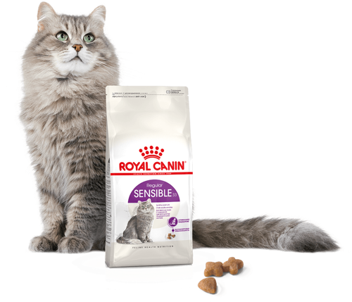 ROYAL CANIN Sensible 33 10kg - zdjęcie 7
