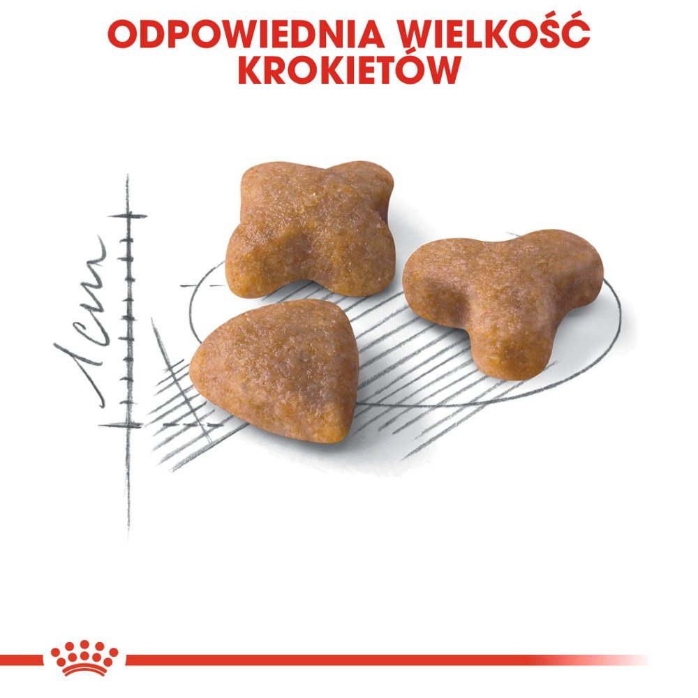 ROYAL CANIN Sensible 33 10kg - zdjęcie 9