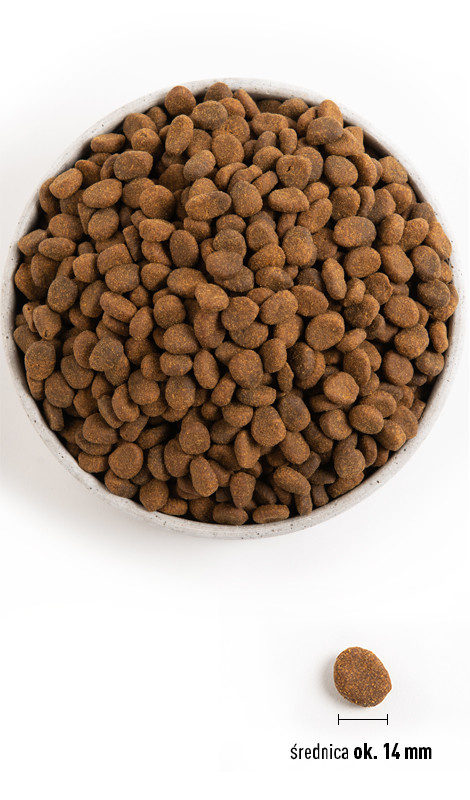 Orijen Regional Red Dog 11,4kg - zdjęcie 4