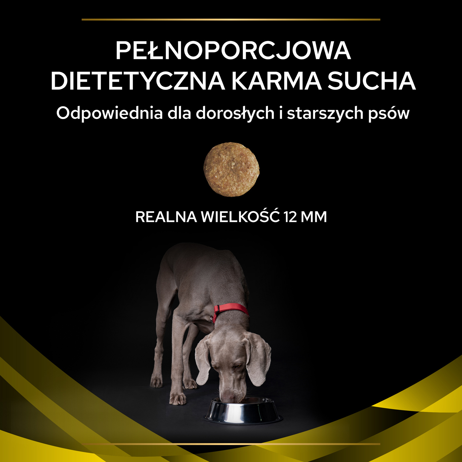 PURINA Pro Plan Veterinary Diets NC Neuro Care Dog 3kg - zdjęcie 5