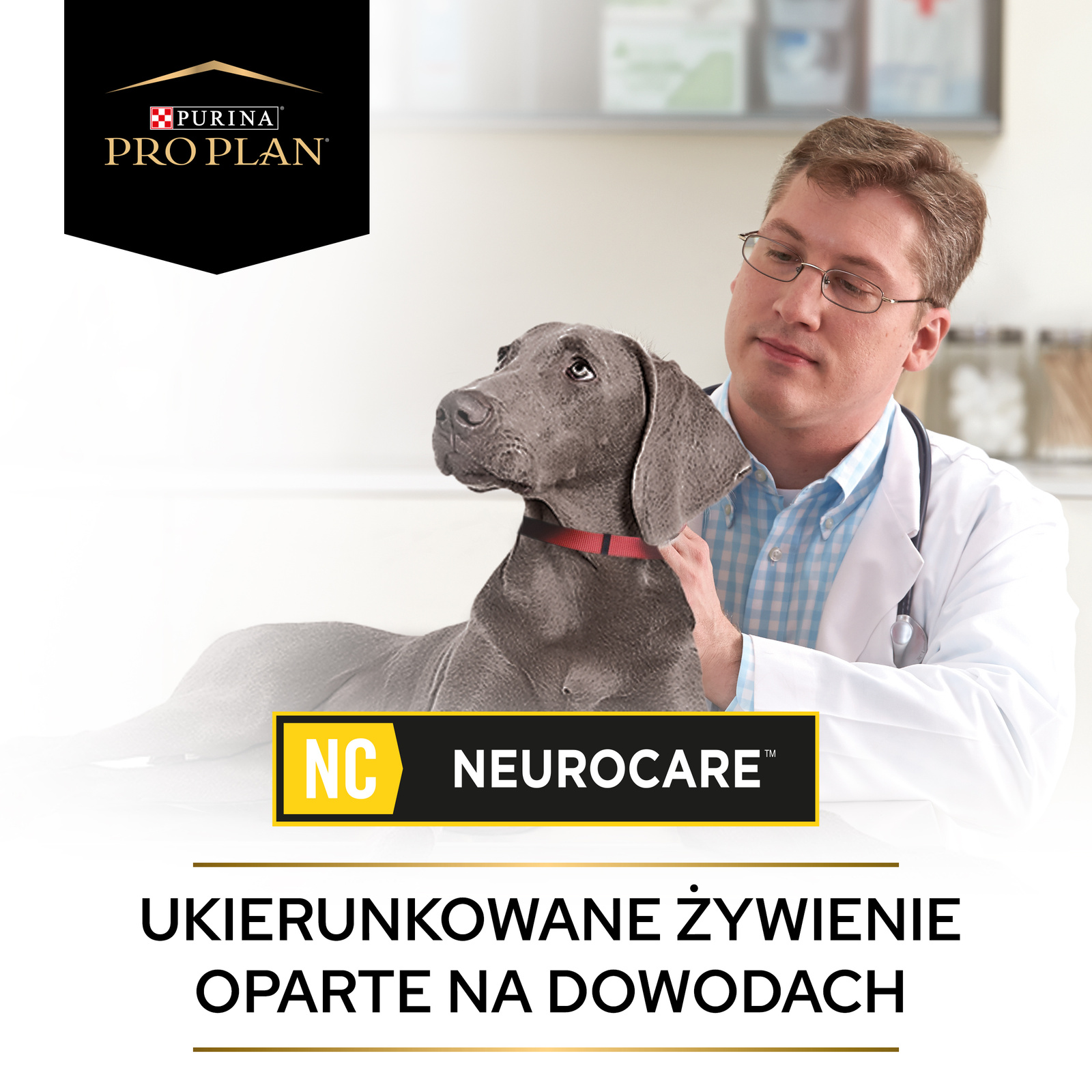 PURINA Pro Plan Veterinary Diets NC Neuro Care Dog 3kg - zdjęcie 6