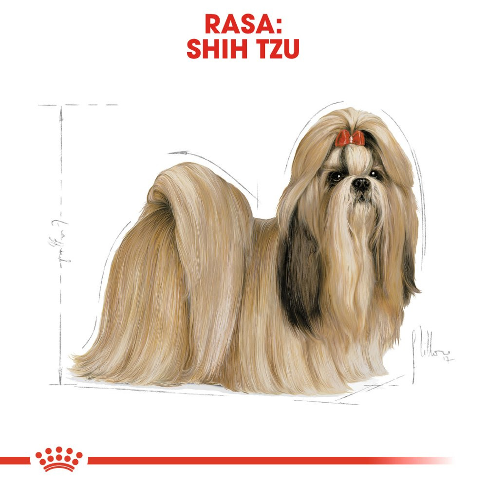 ROYAL CANIN Shih Tzu Adult 1,5kg - zdjęcie 3
