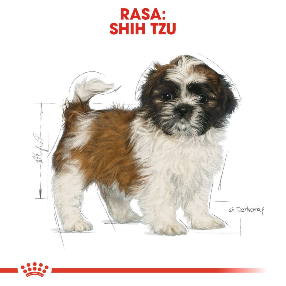 ROYAL CANIN Shih Tzu Puppy 500g - zdjęcie 5